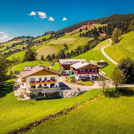 Appartamento Lindbichlhof Urlaub Am Bio Bauernhof Sankt Johann im Pongau Esterno foto