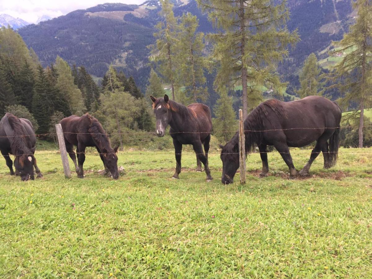 Appartamento Lindbichlhof Urlaub Am Bio Bauernhof Sankt Johann im Pongau Esterno foto