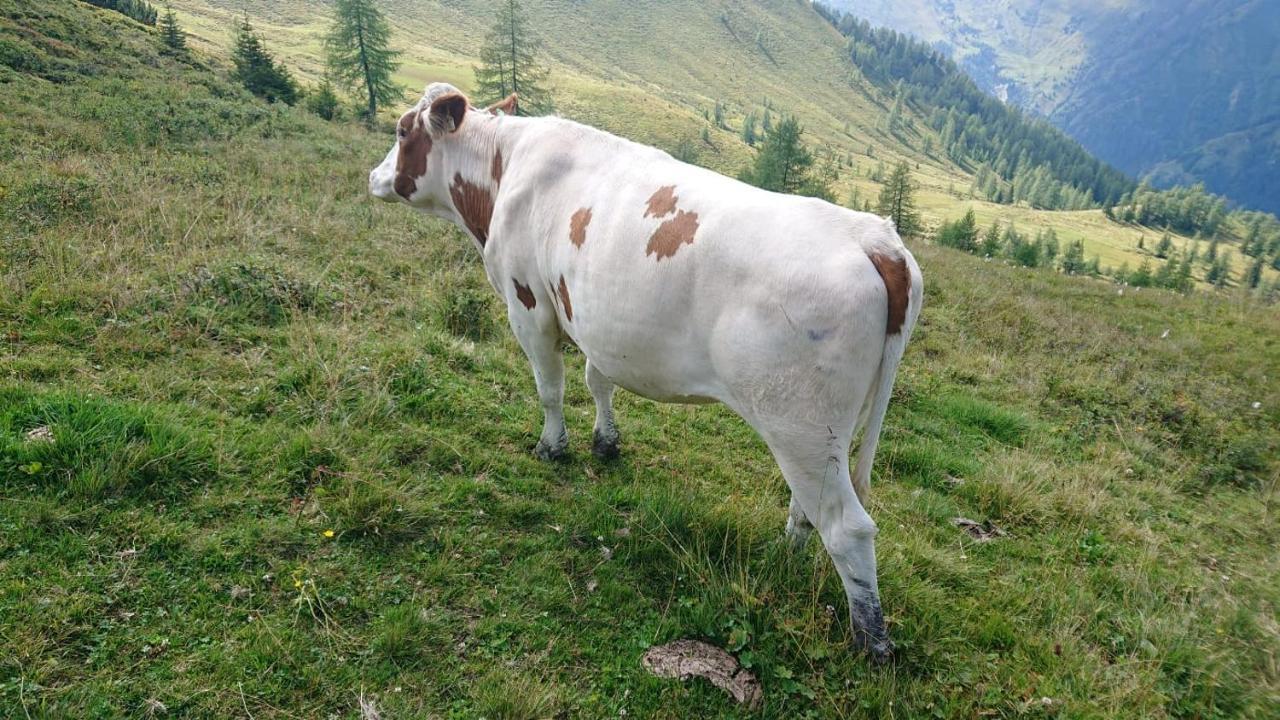 Appartamento Lindbichlhof Urlaub Am Bio Bauernhof Sankt Johann im Pongau Esterno foto