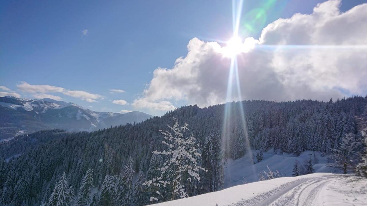 Appartamento Lindbichlhof Urlaub Am Bio Bauernhof Sankt Johann im Pongau Esterno foto