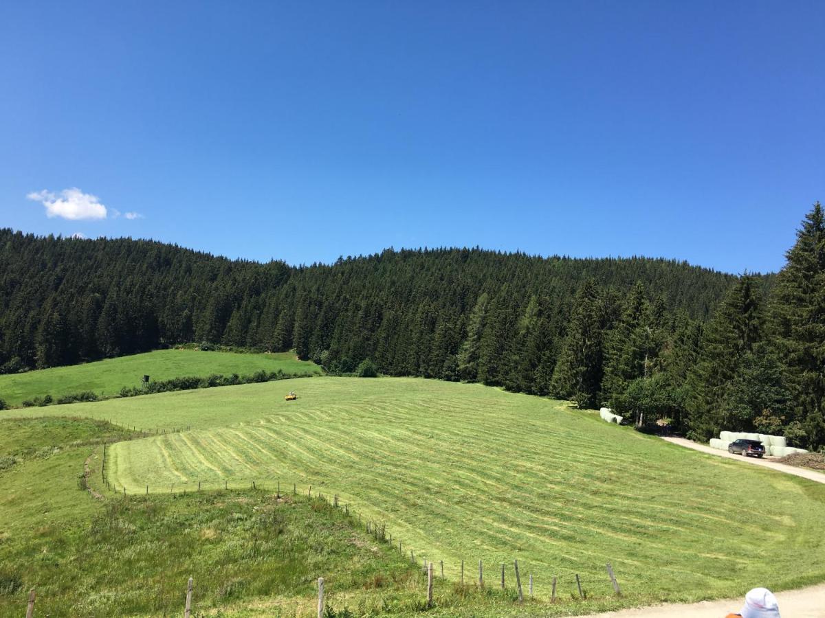 Appartamento Lindbichlhof Urlaub Am Bio Bauernhof Sankt Johann im Pongau Esterno foto