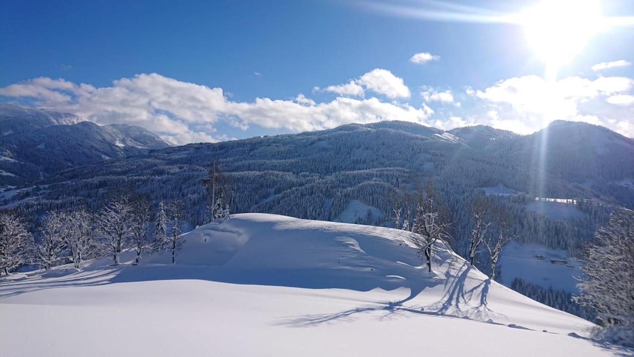 Appartamento Lindbichlhof Urlaub Am Bio Bauernhof Sankt Johann im Pongau Esterno foto