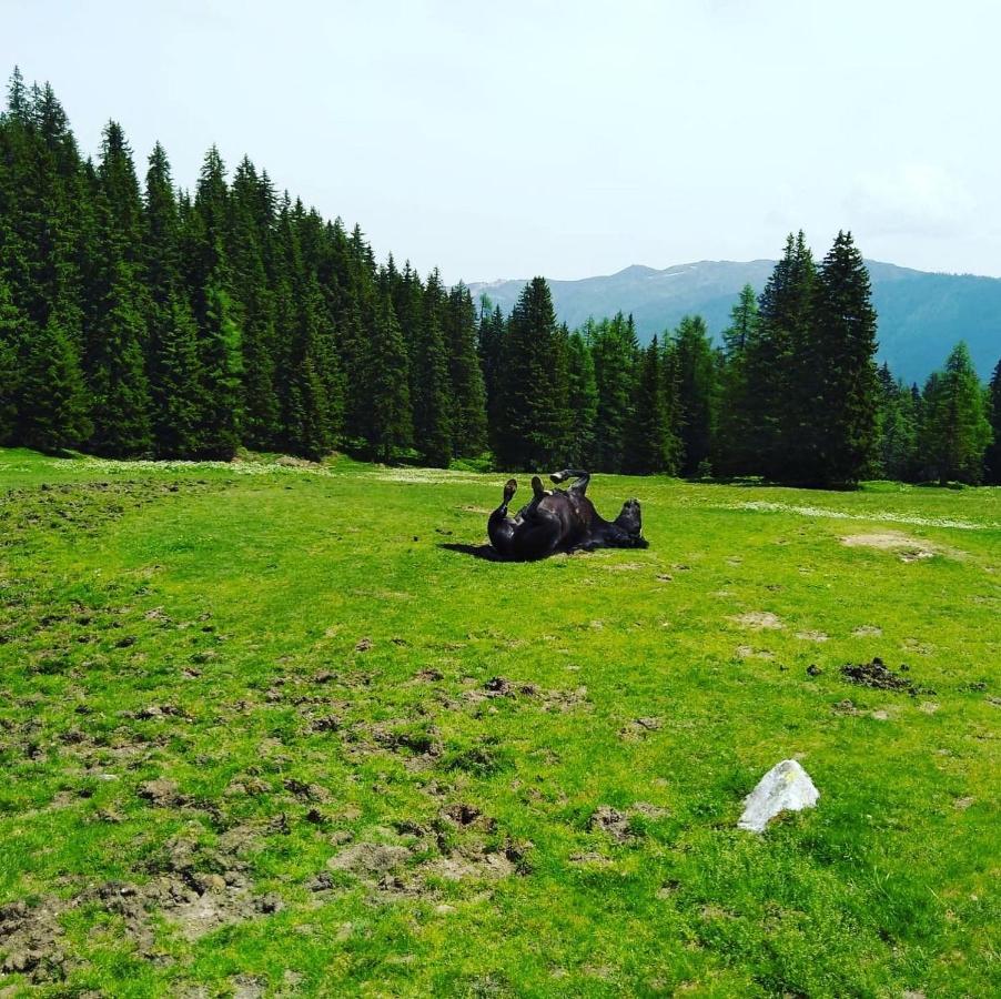 Appartamento Lindbichlhof Urlaub Am Bio Bauernhof Sankt Johann im Pongau Esterno foto