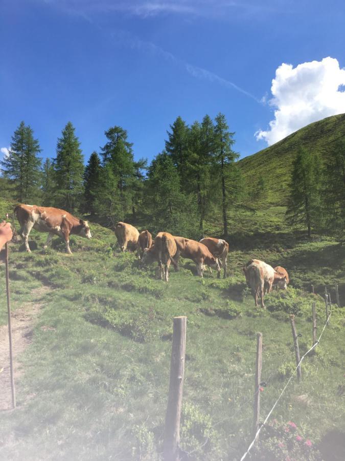 Appartamento Lindbichlhof Urlaub Am Bio Bauernhof Sankt Johann im Pongau Esterno foto