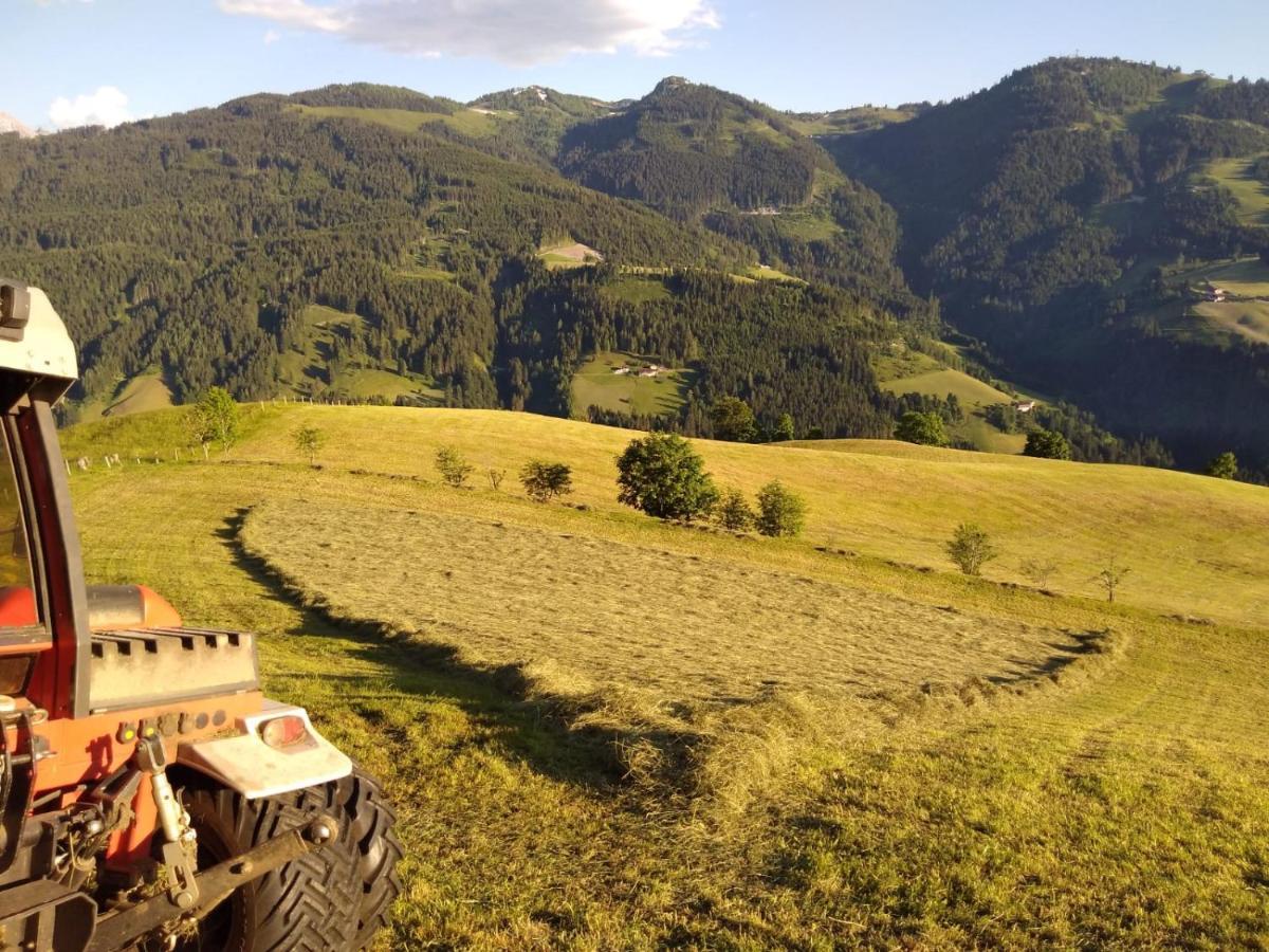 Appartamento Lindbichlhof Urlaub Am Bio Bauernhof Sankt Johann im Pongau Esterno foto