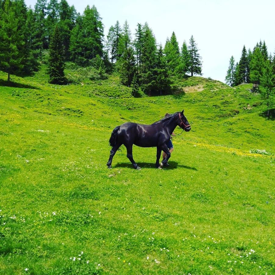Appartamento Lindbichlhof Urlaub Am Bio Bauernhof Sankt Johann im Pongau Esterno foto
