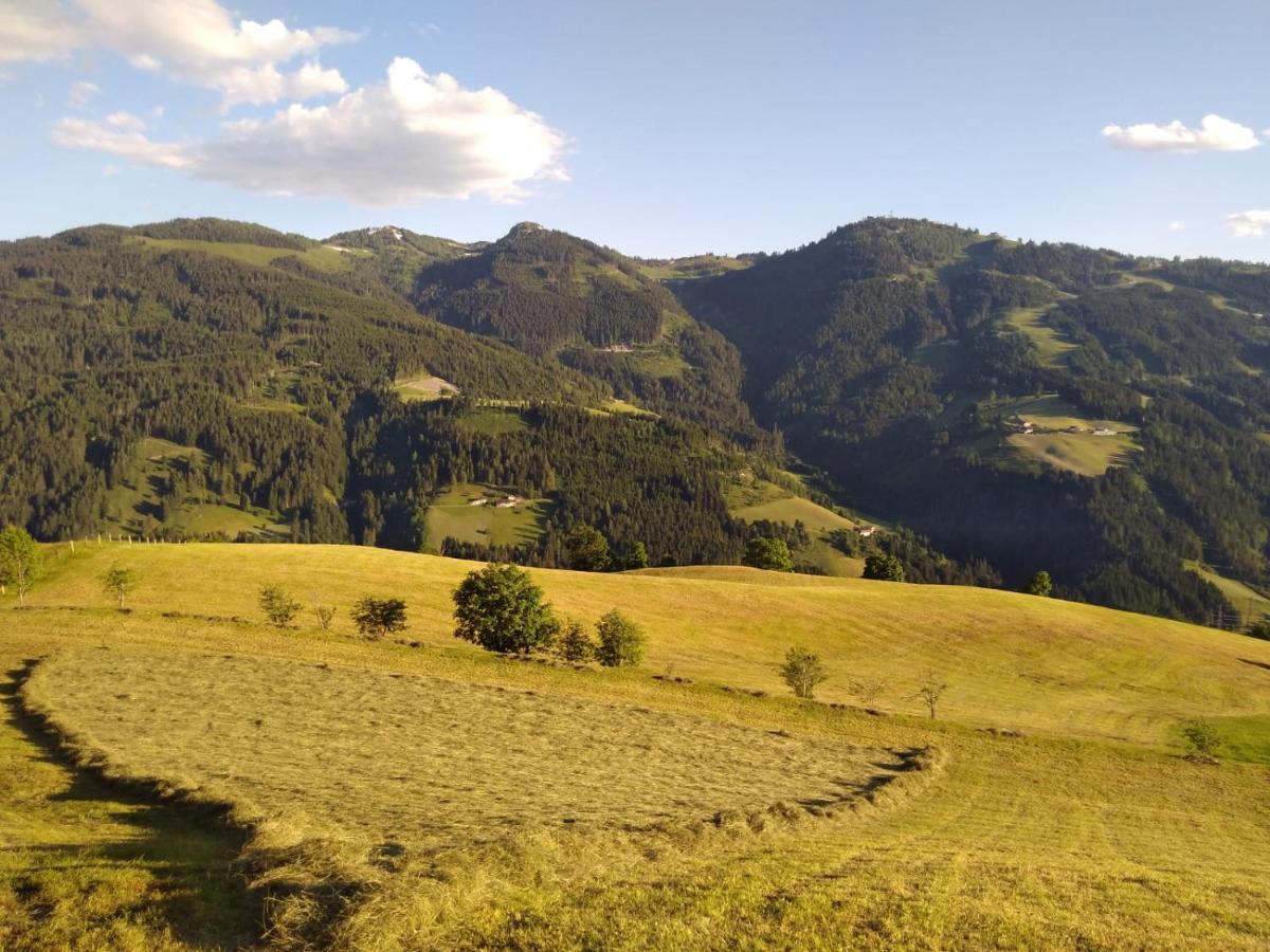 Appartamento Lindbichlhof Urlaub Am Bio Bauernhof Sankt Johann im Pongau Esterno foto