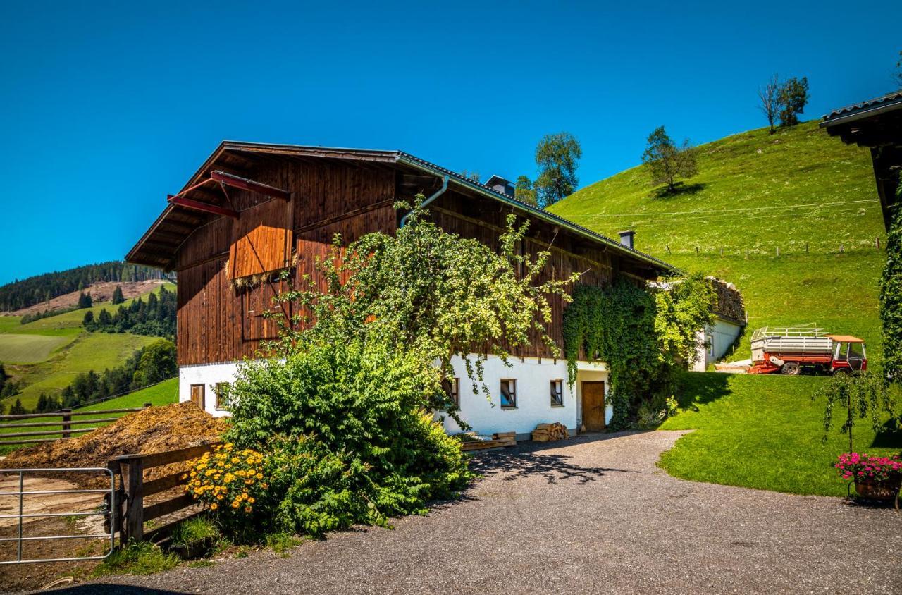 Appartamento Lindbichlhof Urlaub Am Bio Bauernhof Sankt Johann im Pongau Esterno foto