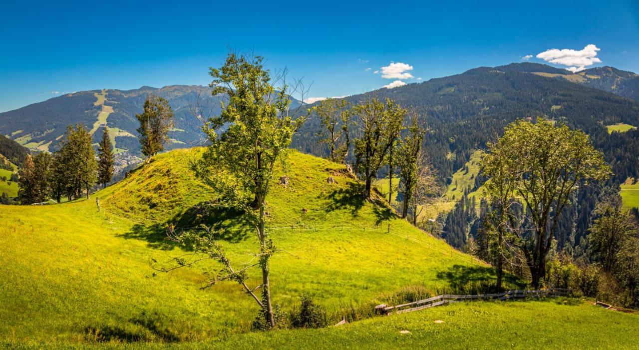 Appartamento Lindbichlhof Urlaub Am Bio Bauernhof Sankt Johann im Pongau Esterno foto