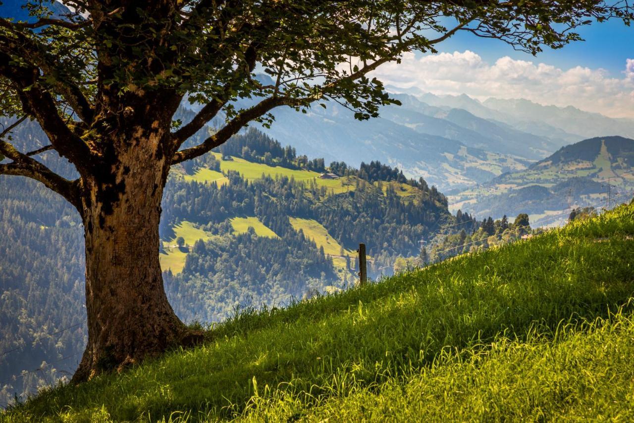 Appartamento Lindbichlhof Urlaub Am Bio Bauernhof Sankt Johann im Pongau Esterno foto