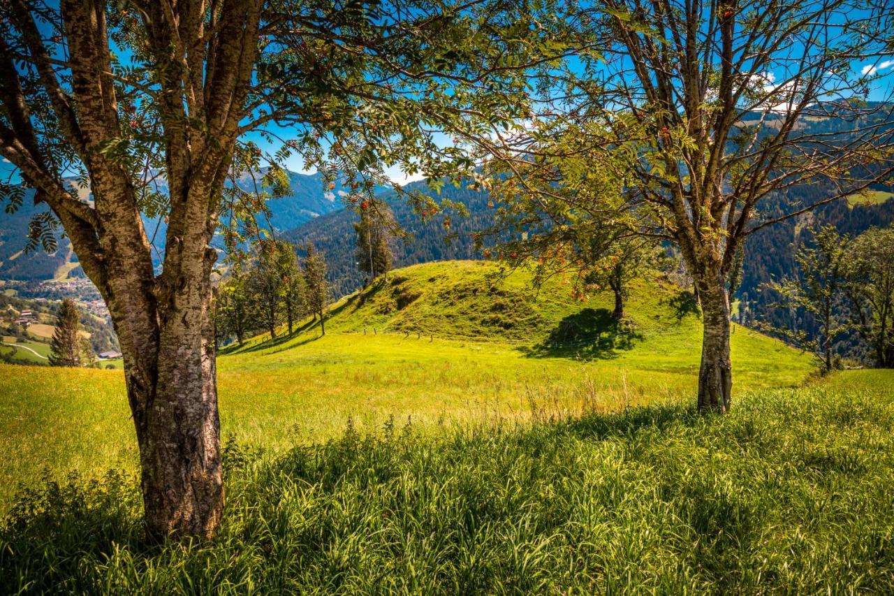 Appartamento Lindbichlhof Urlaub Am Bio Bauernhof Sankt Johann im Pongau Esterno foto