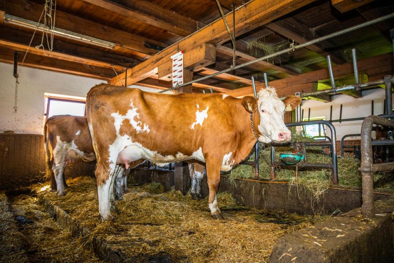 Appartamento Lindbichlhof Urlaub Am Bio Bauernhof Sankt Johann im Pongau Esterno foto